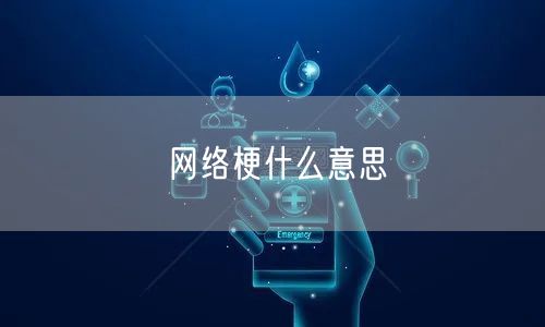 网络梗什么意思