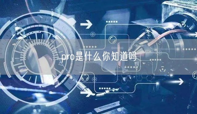 pro是什么你知道吗