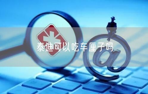 泰迪可以吃车厘子吗