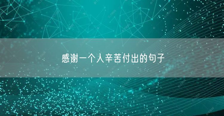 感谢一个人辛苦付出的句子