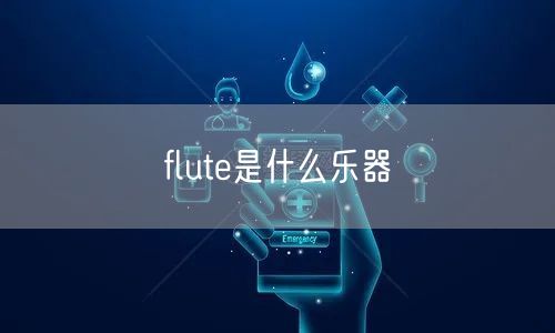 flute是什么乐器