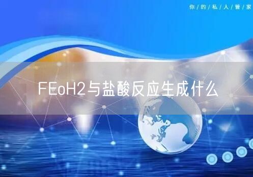 FEoH2与盐酸反应生成什么