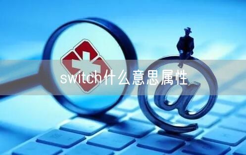 switch什么意思属性