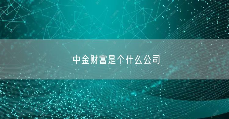 中金财富是个什么公司