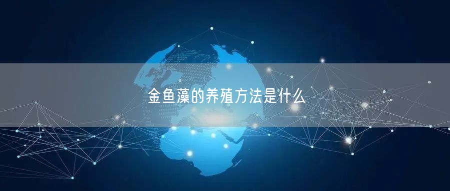 金鱼藻的养殖方法是什么