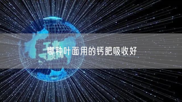 哪种叶面用的钙肥吸收好