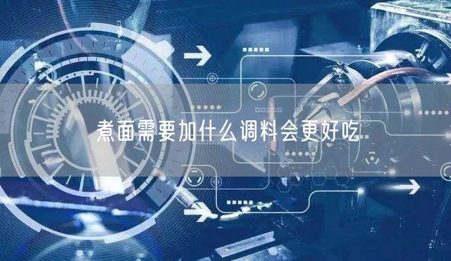煮面需要加什么调料会更好吃