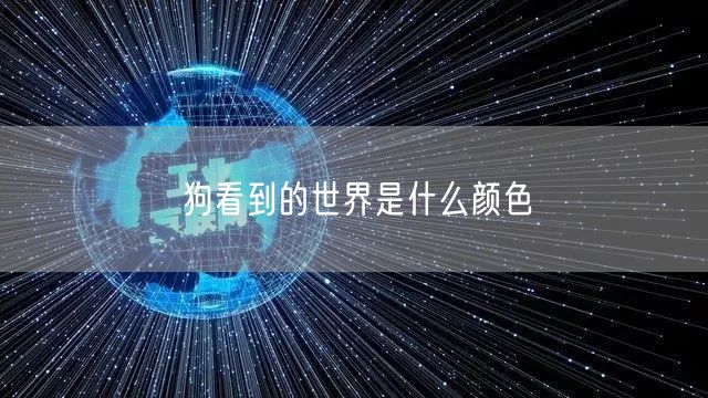狗看到的世界是什么颜色