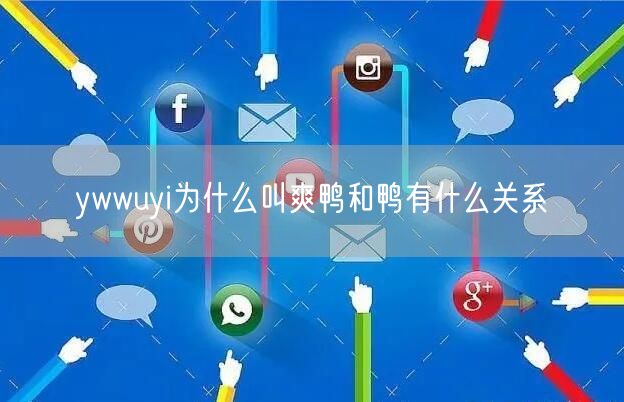 ywwuyi为什么叫爽鸭和鸭有什么关系