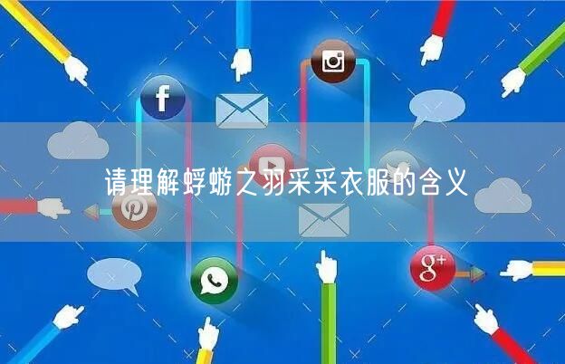 请理解蜉蝣之羽采采衣服的含义