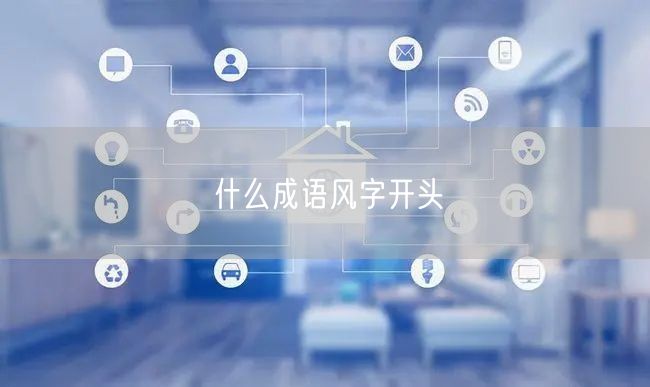 什么成语风字开头