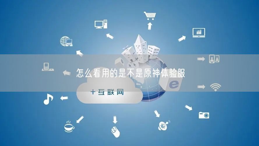 怎么看用的是不是原神体验服