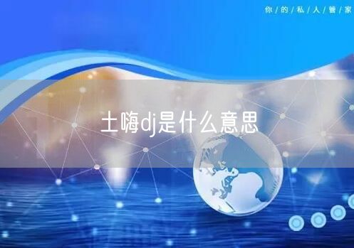 土嗨dj是什么意思