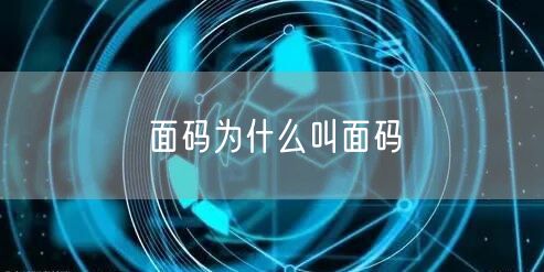 面码为什么叫面码
