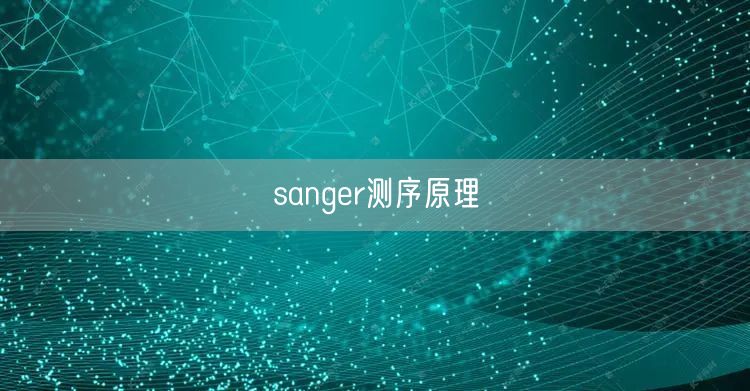 sanger测序原理