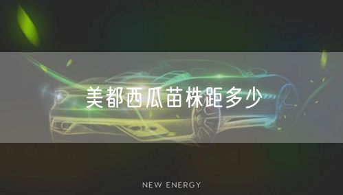 美都西瓜苗株距多少