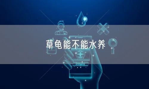 草龟能不能水养