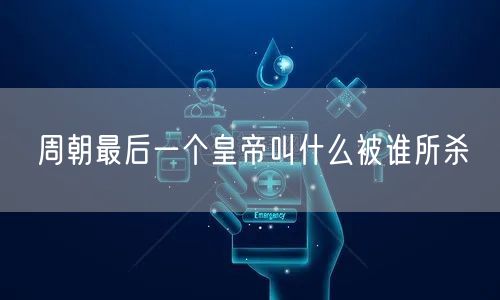 周朝最后一个皇帝叫什么被谁所杀