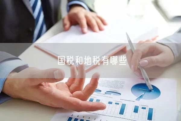 国税和地税有哪些