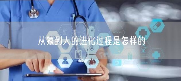从猿到人的进化过程是怎样的