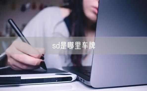 sd是哪里车牌