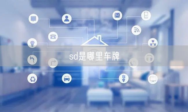 sd是哪里车牌