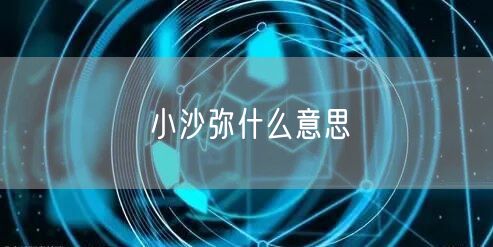 小沙弥什么意思