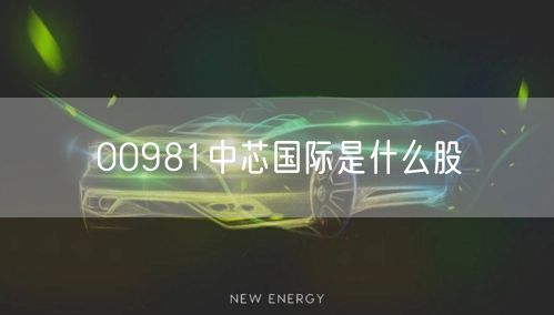 00981中芯国际是什么股