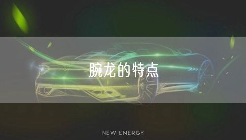 腕龙的特点