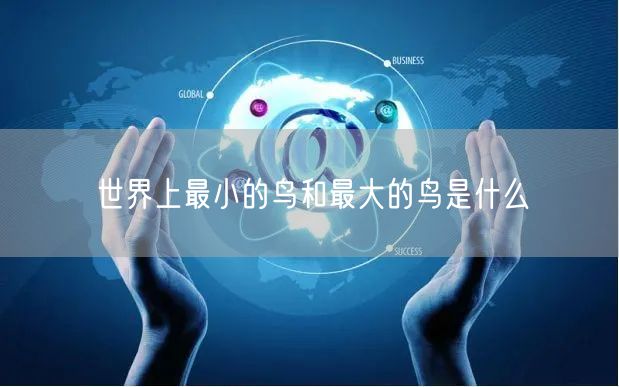 世界上最小的鸟和最大的鸟是什么