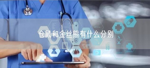 仓鼠和金丝熊有什么分别