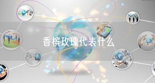 香槟玫瑰代表什么