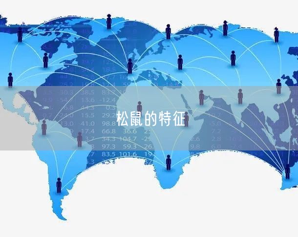 松鼠的特征