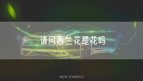 请问西兰花是花吗