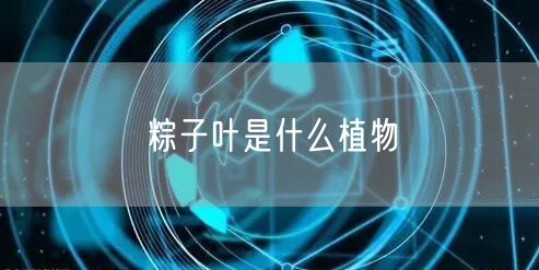 粽子叶是什么植物