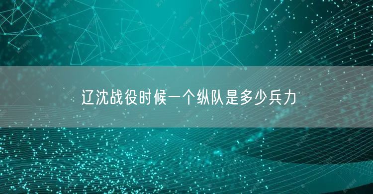 辽沈战役时候一个纵队是多少兵力