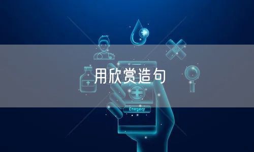 用欣赏造句