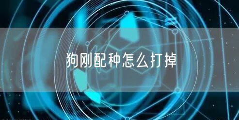 狗刚配种怎么打掉