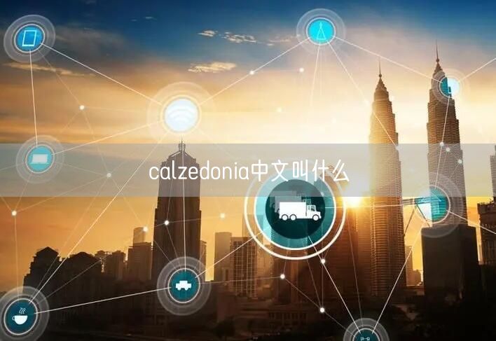 calzedonia中文叫什么