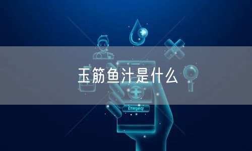 玉筋鱼汁是什么