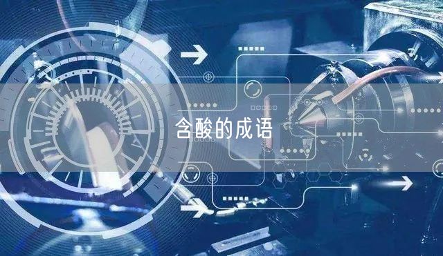 含酸的成语
